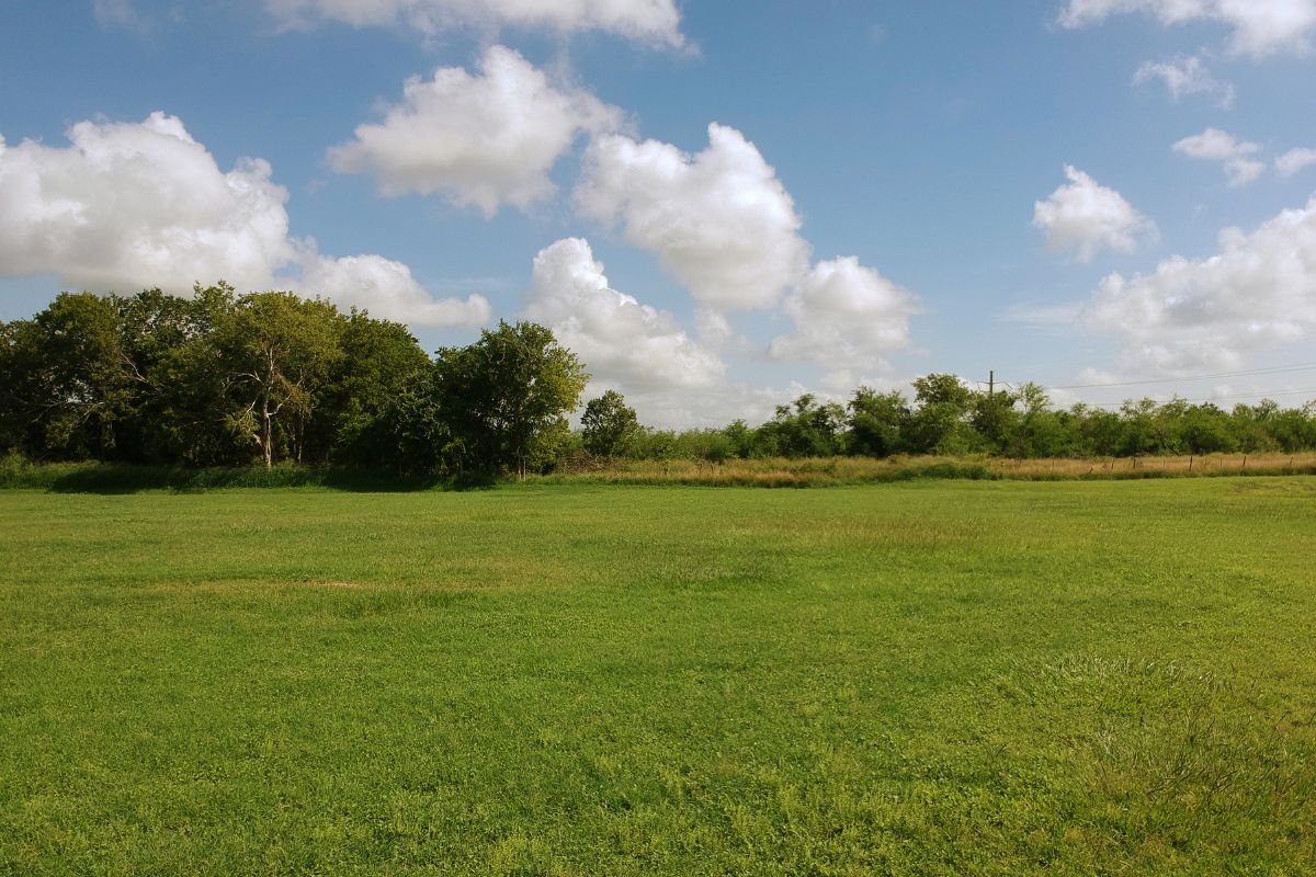 Navigating Land Clearing For Residential Success Burgess Land Management