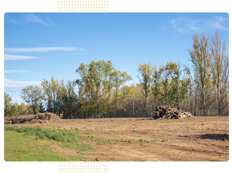 Land Clearing in Manchester TN